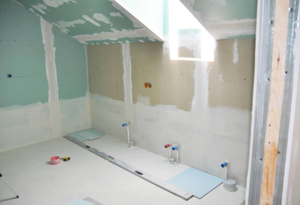 Best Forensic Mold Investigation  in Wayne, IL