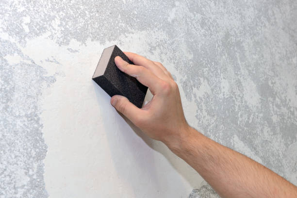 Best Industrial Mold Remediation  in Wayne, IL