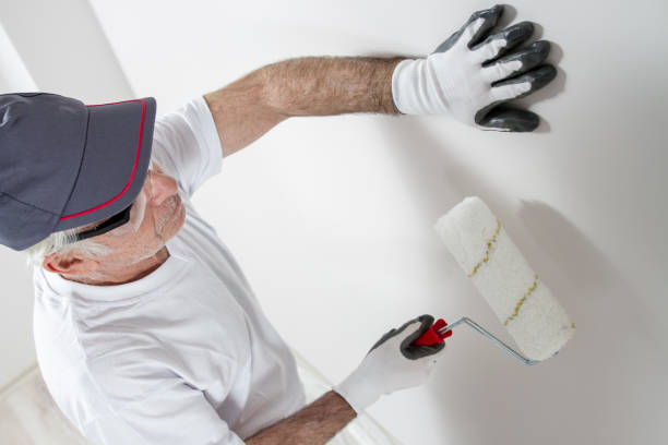 Best Attic Mold Removal  in Wayne, IL