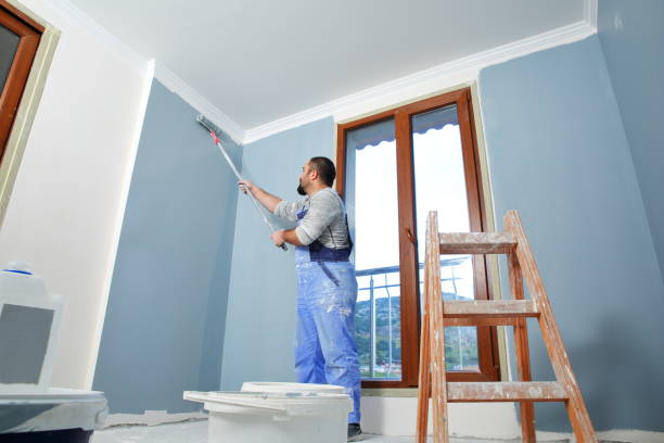 Best Black Mold Removal  in Wayne, IL