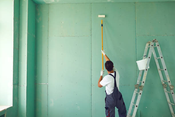 Best Commercial Mold Inspection  in Wayne, IL