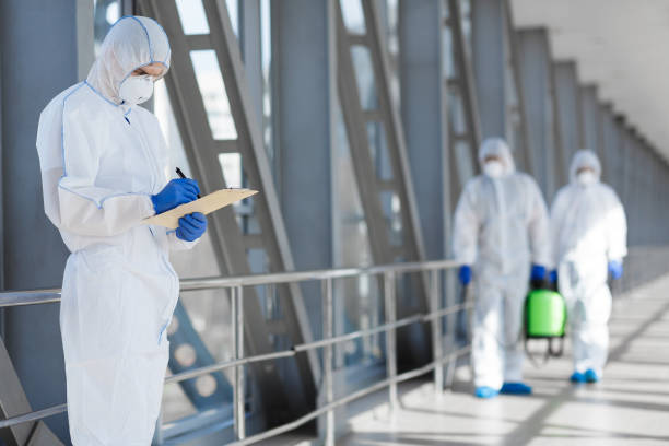 Best Mold Prevention Services  in Wayne, IL