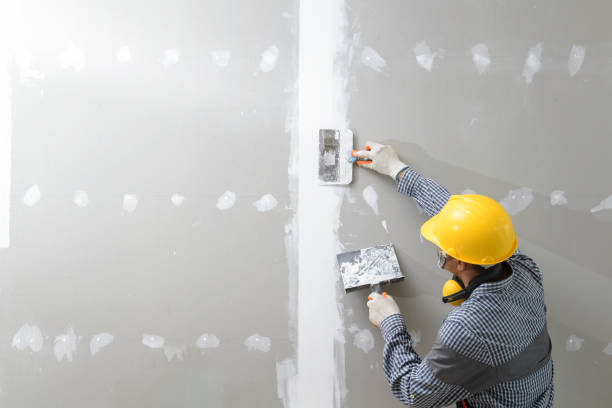 Best Asbestos and Lead Testing During Mold Inspection  in Wayne, IL