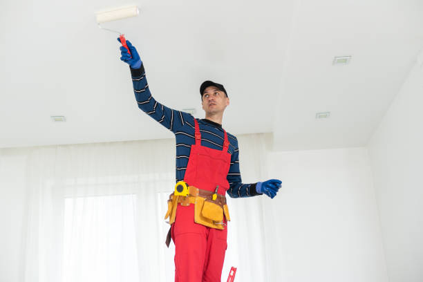 Best Water Damage & Mold Remediation  in Wayne, IL