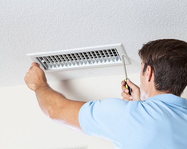 Best Basement Mold Removal  in Wayne, IL