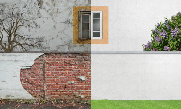  Wayne, IL Mold Removal Pros