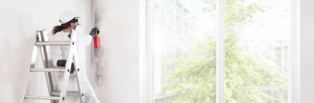 Best Post-Remediation Verification Testing  in Wayne, IL