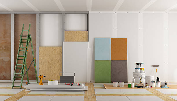 Best Mold Odor Removal Services  in Wayne, IL