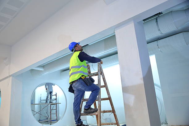 Wayne, IL Mold Removal Company